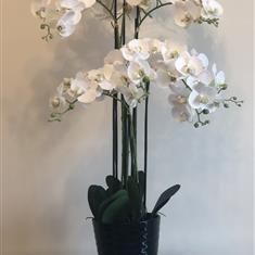 Luxury 4ft Artifical Orchid