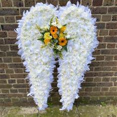 Angel Wings