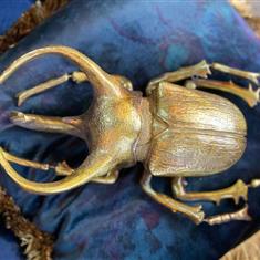 Extra Large Gold Beetle Wall Decor 