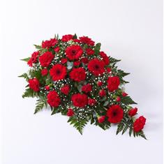 Carnation &amp; Germini Spray- Red