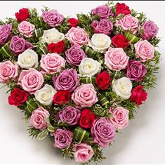 All Rose Heart 