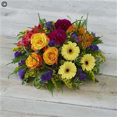 Bold Bright Posy 