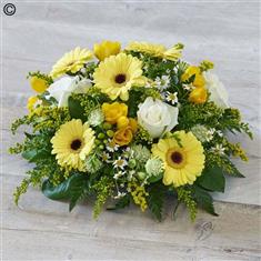 Yellow Posy
