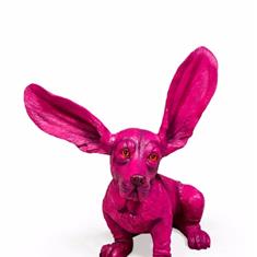 Surprised Pink Bassett
