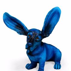 Surprised Blue Bassett 