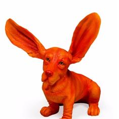 Surprised Orange Bassett