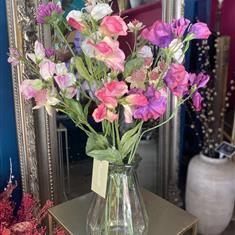 Sweet Pea &amp; Astrantia In Vase